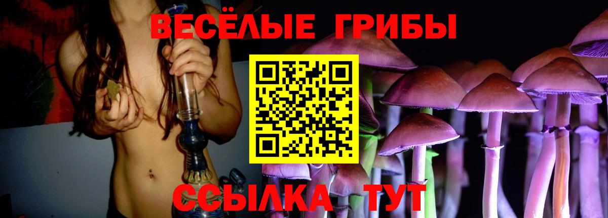 Псилоцибиновые грибы прущие грибы  Псилоцибиновые грибы мухоморы  Волжск  Вход с VPN 