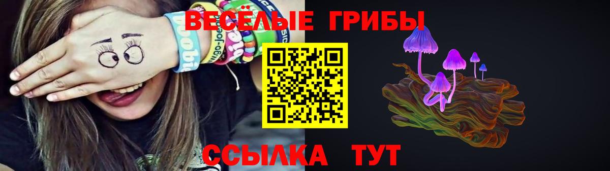 Псилоцибиновые грибы мицелий Волжск